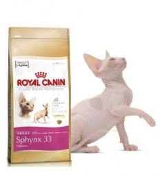 Royal Canin Сфинкс